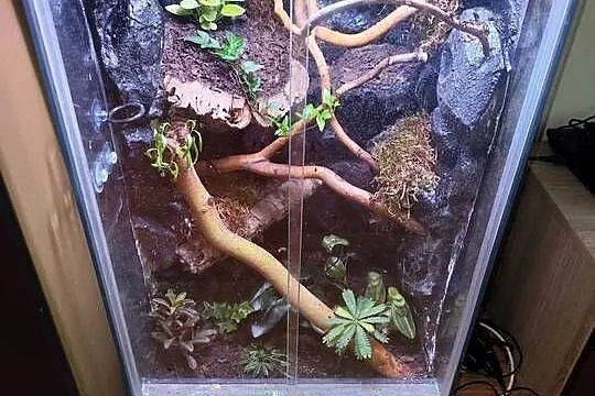 Piękne terrarium 45x45x80 bioaktywne, Podlaskie, Białystok