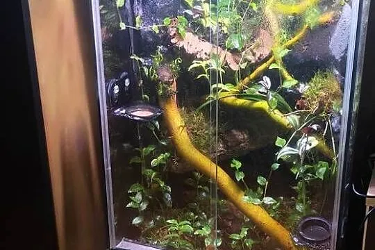 Piękne terrarium 45x45x80 bioaktywne, Podlaskie, Białystok