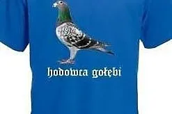 Koszulki dla hodowców gołębi, Ruda Śląska