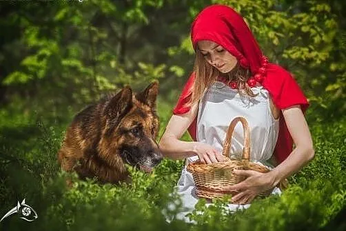 Wierny przyjaciel czerwonego kapturka- Bartek szuk