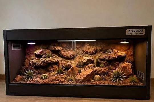 Terrarium specjalistyczne dla gekona lamparciego agamy brodatej