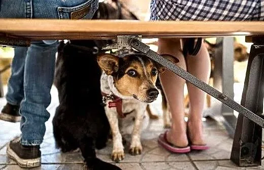 Znajdzie się dla mnie jakiś kącik? GACEK, świętok