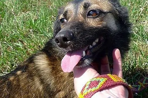 Lukrecja-młodziutka, delikatna i bardzo wrażliwa s