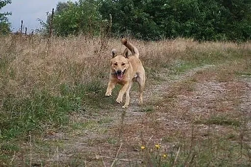 Przeżył jako jedyny z licznego rodzeństwa... KAROL