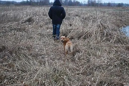 Przeżył jako jedyny z licznego rodzeństwa... KAROL