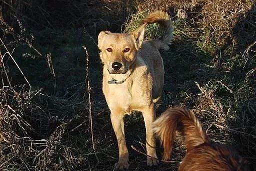 Przeżył jako jedyny z licznego rodzeństwa... KAROL