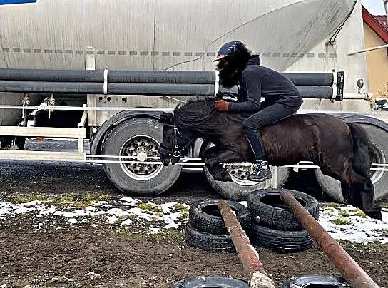 Dzierżawa kucyka, Opolskie, Opole
