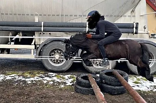 Dzierżawa kucyka, Opolskie, Opole