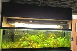 Akwarium z życiem 300 L