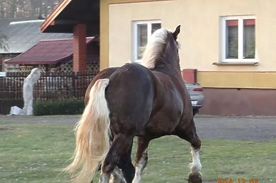 Stanówka