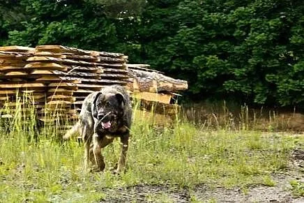 ZBIGNIEW prosi o dom na jesień życia,  pomorskie S