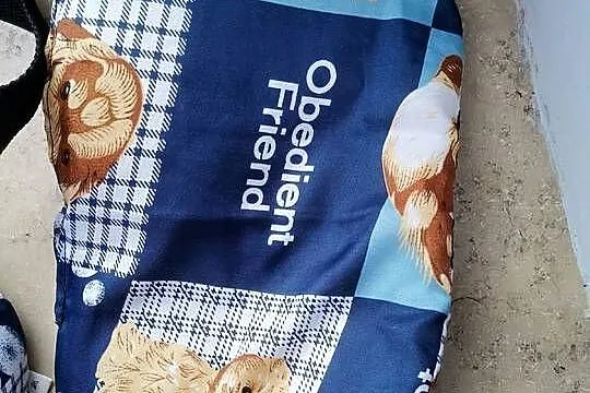 ocieplany transporterek, Podlaskie, Białystok