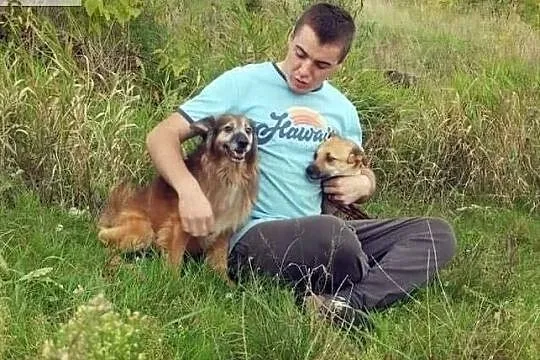Grzeczny ułożony piesek poleca się do adopcji, , Wrocław