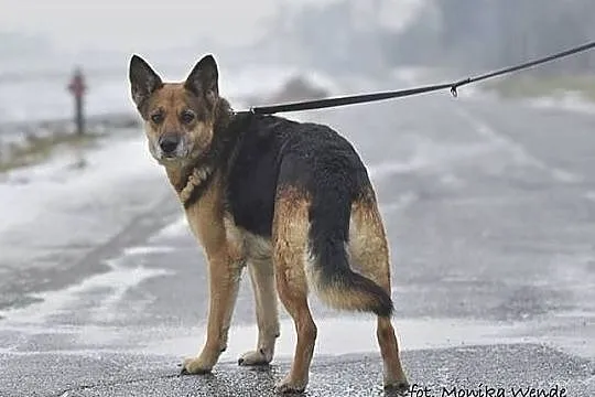 Chcę mieć swojego Człowieka., Małopolskie, Kraków