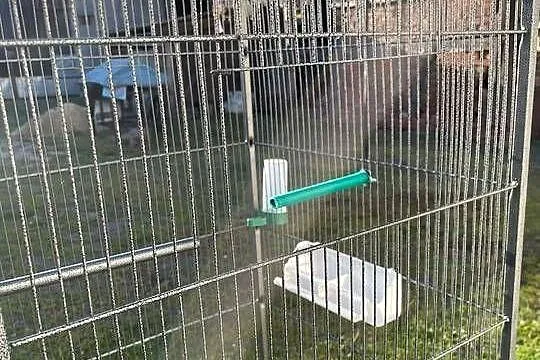 Woliera dla ptaków 146 cm, Kujawsko-pomorskie, Sadki