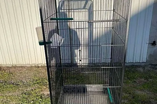 Woliera dla ptaków 146 cm, Kujawsko-pomorskie, Sadki