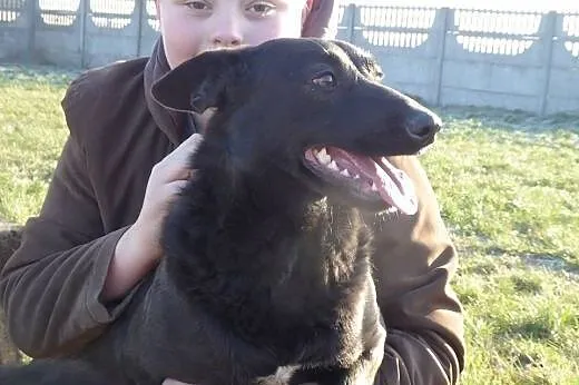 Lotka czeka na Twoje serduszko :),  Kundelki cała 