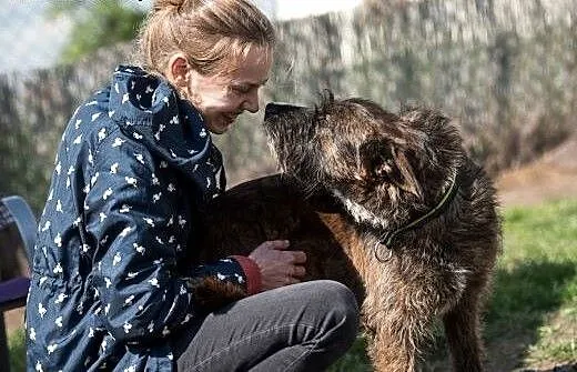 Adoptuj Londi a pokocha cię cała sobą , śląskie G