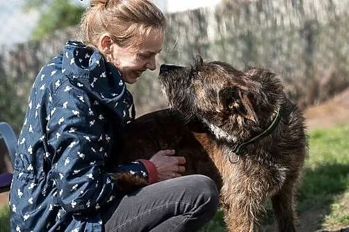 Adoptuj Londi a pokocha cię cała sobą ,  śląskie G