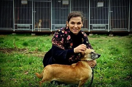 Suczka Orange nadal ma nadzieję na Dom