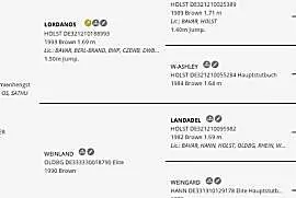 Stanówka ogierem Lord Weingard - Lordanos/Landos/L, Tczew