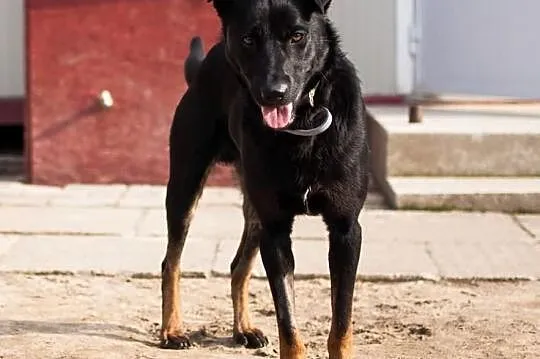 Fiodor – tak bardzo kocha ludzi i potrzebuje ich bliskości...