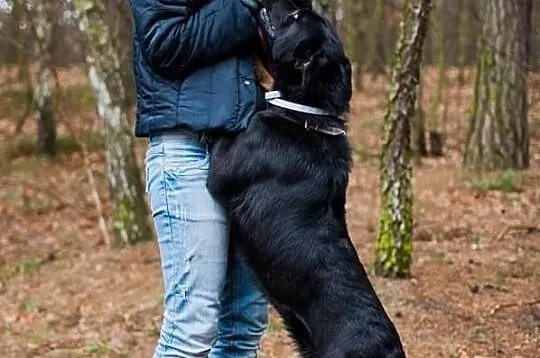 Fiodor – tak bardzo kocha ludzi i potrzebuje ich b