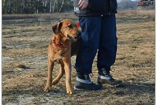 Wesoła Lejla chętnie zagości w Twoim sercu,  mazow