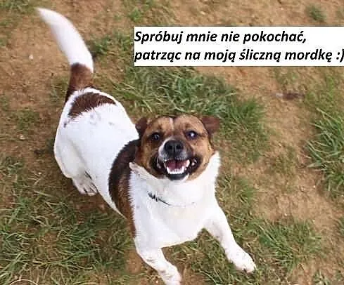 Struli mnie trutką na szczury! Nie poddałem się, p