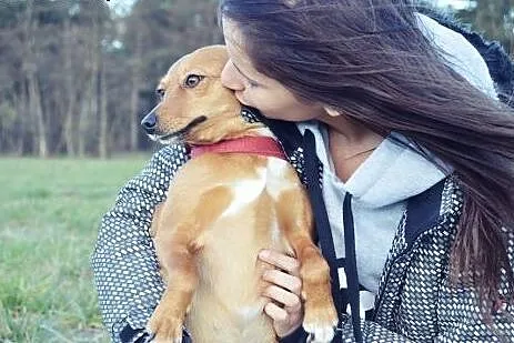 Mała sareneczka, Wilenka szuka domku!!,  mazowieck