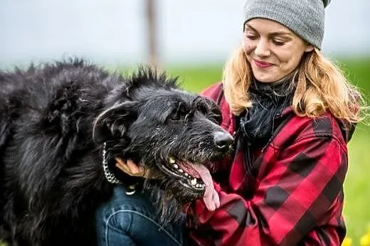 KAJA w typie sznaucera radość życia rozpiera - pod