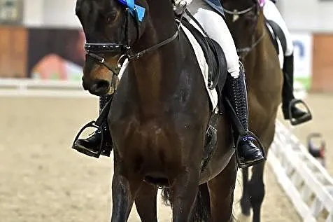 Artemor, , Młynary