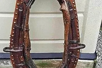 Sprzedam naszyjnik do uprzęży końskiej, Śląskie, Częstochowa