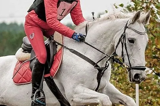 Wezmę konie w trening stajnia przydomowa, Zakopane