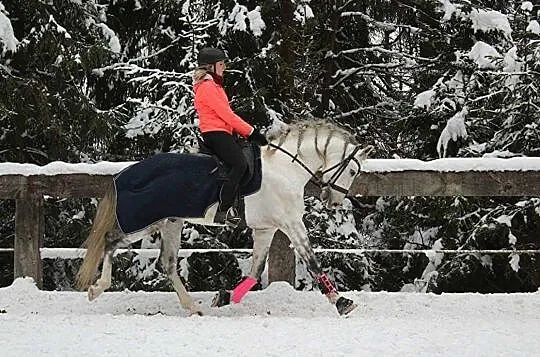 Wezmę konie w trening stajnia przydomowa, Zakopane