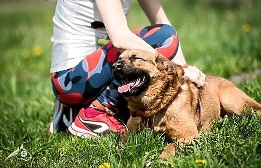 Chodź się trochę poprzytulać !! Dziurek do adopcji