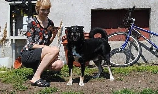 Piorun, fajny psiak bardzo przyjazny, wielkopolsk