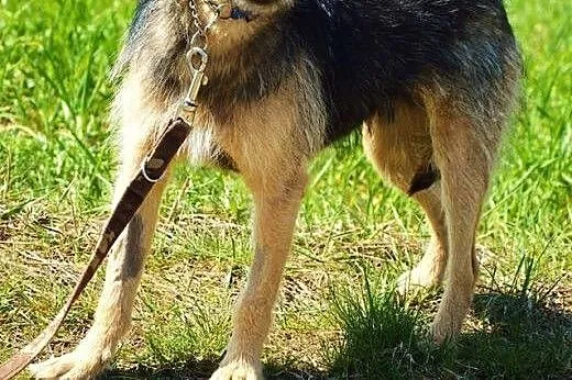 Uma, kochana sunieczka prosi o dom,  mazowieckie W