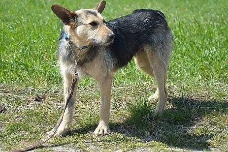Uma, kochana sunieczka prosi o dom,  mazowieckie W