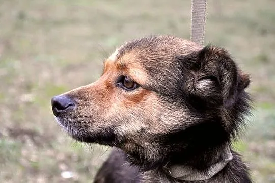 Malutki Timonek i jego nowe życie :)