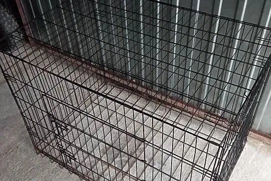 Sprzedam klatkę dla psa kota królika papugi, Małopolskie, Myślenice