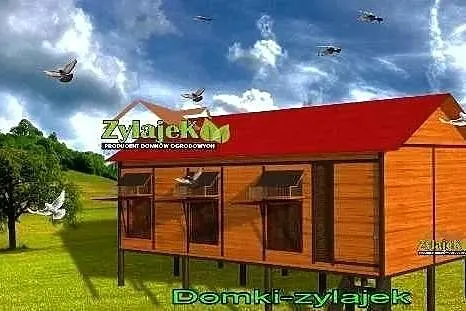 Gołębnik solidna konstrukcja wysyłka gratis 250cm/400cm, Podkarpackie, Korczyna