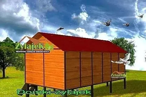Gołębnik solidna konstrukcja wysyłka gratis 250cm/400cm, Podkarpackie, Korczyna