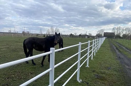 Ogrodzenie koni białe pcv słupki lonżownik pastuch, Kujawsko-pomorskie, Inowrocław