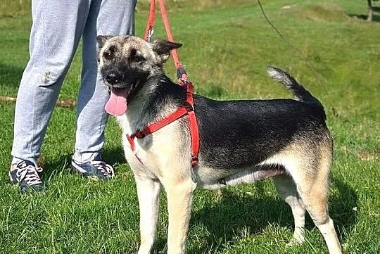 Kala pokocha Cię ogromnie :), Warmińsko-mazurskie, Olsztyn