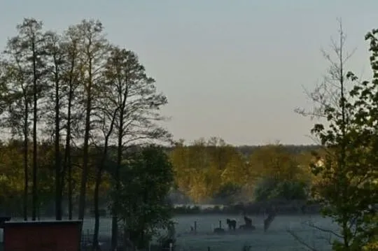 Wolnowybiegowa stajnia/miejsce dla konia z możliwością odpracowania, , 