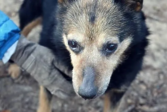 14letnia Trejsi gaśnie w schronisku