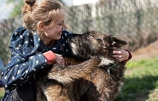 Londi psia jedynaczka szuka człowieka na zawsze,