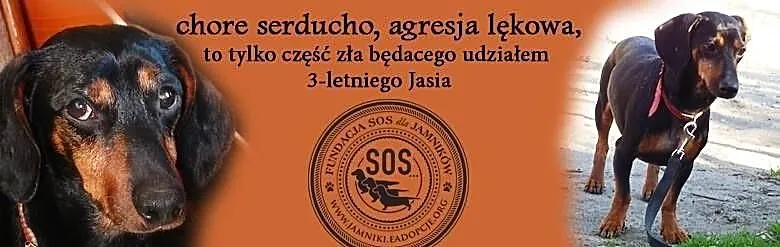 *Kimkolwiek jesteś,dlaczego skrzywdziłeś ??? **Jam