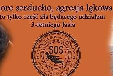 *Kimkolwiek jesteś,dlaczego skrzywdziłeś ??? **Jam